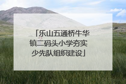 乐山五通桥牛华镇二码头小学夯实少先队组织建设